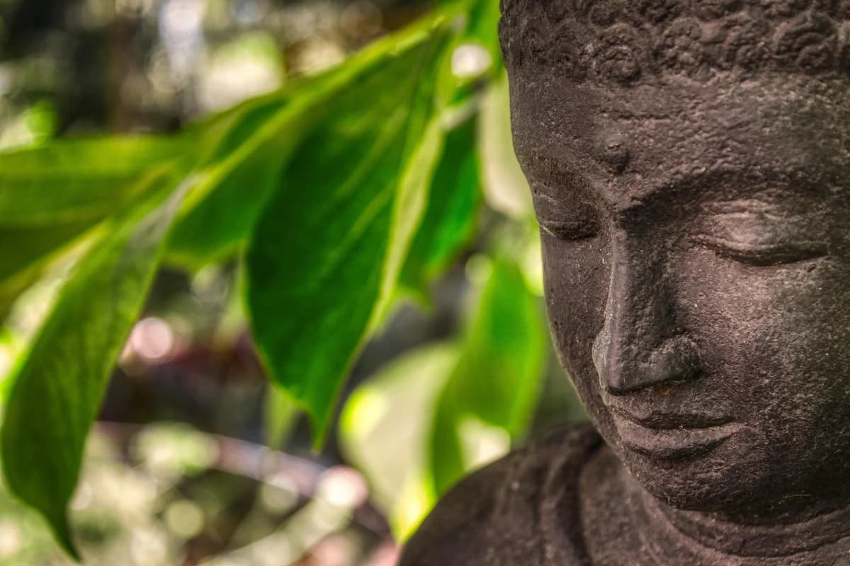 Statue de Bouddha en pierre entourée de feuilles vertes — symbole de la médecine traditionnelle chinoise et de l'approche énergétique de Laurence CAVEX